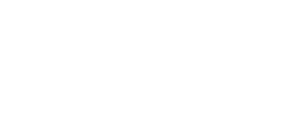 Adelsystem Logo