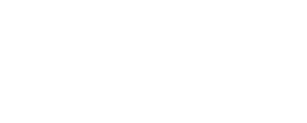 Mean Well Logo